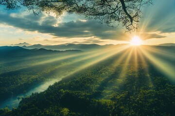 中医对胆的论述